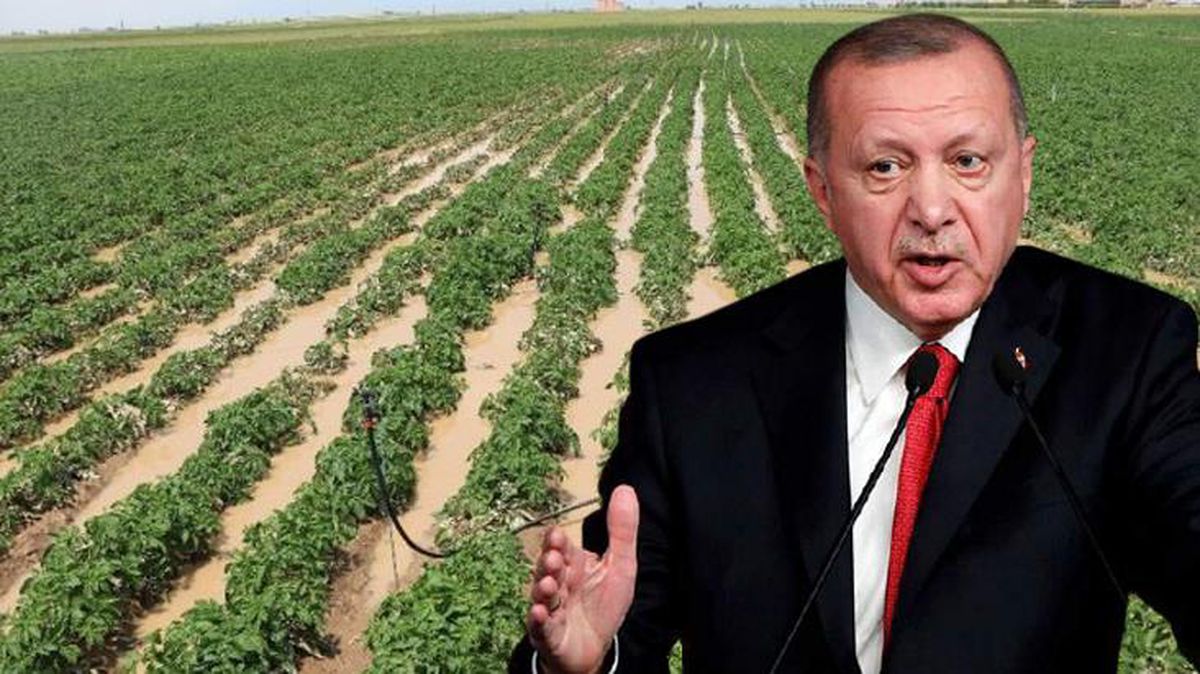 Çiftçinin elinde kalan patates, soğan ve çeltik satın alınarak vatandaşa ücretsiz dağıtılacak