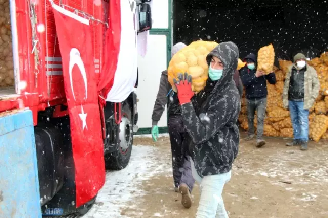 TMO, Nevşehir'de patates alımlarına başladı TMO, Nevşehir'de patates alımlarına başladı
