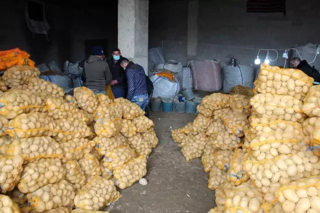 TMO, Nevşehir'de patates alımlarına başladı TMO, Nevşehir'de patates alımlarına başladı