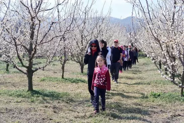 Son dakika gündem: TOROSLARIN SAKURA BAHÇELERİNDE GÖRSEL ŞÖLEN Son dakika gündem: TOROSLARIN SAKURA BAHÇELERİNDE GÖRSEL ŞÖLEN