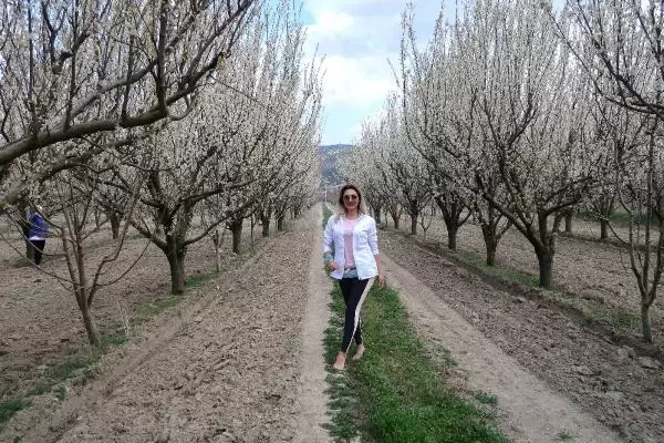 Son dakika gündem: TOROSLARIN SAKURA BAHÇELERİNDE GÖRSEL ŞÖLEN Son dakika gündem: TOROSLARIN SAKURA BAHÇELERİNDE GÖRSEL ŞÖLEN