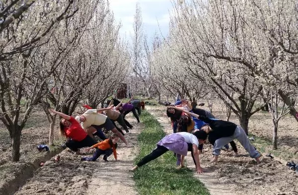 Son dakika gündem: TOROSLARIN SAKURA BAHÇELERİNDE GÖRSEL ŞÖLEN Son dakika gündem: TOROSLARIN SAKURA BAHÇELERİNDE GÖRSEL ŞÖLEN