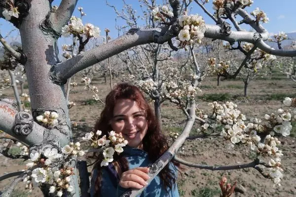 Son dakika gündem: TOROSLARIN SAKURA BAHÇELERİNDE GÖRSEL ŞÖLEN Son dakika gündem: TOROSLARIN SAKURA BAHÇELERİNDE GÖRSEL ŞÖLEN