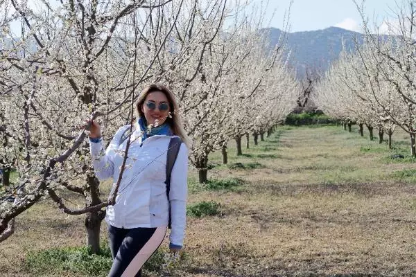 Son dakika gündem: TOROSLARIN SAKURA BAHÇELERİNDE GÖRSEL ŞÖLEN Son dakika gündem: TOROSLARIN SAKURA BAHÇELERİNDE GÖRSEL ŞÖLEN