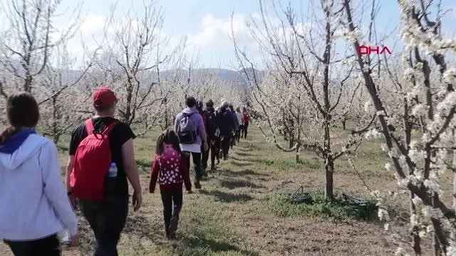 Son dakika gündem: TOROSLARIN SAKURA BAHÇELERİNDE GÖRSEL ŞÖLEN Son dakika gündem: TOROSLARIN SAKURA BAHÇELERİNDE GÖRSEL ŞÖLEN