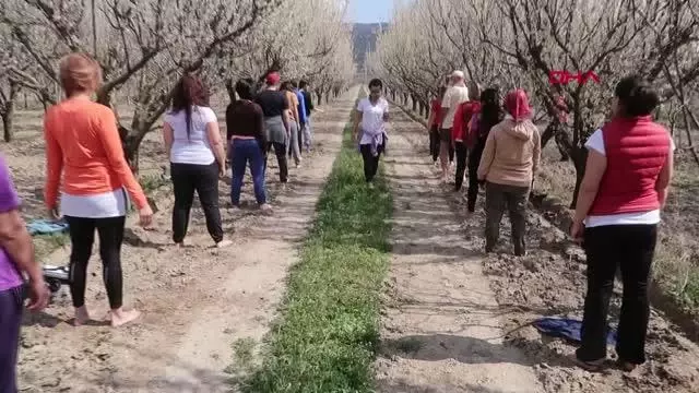 Son dakika gündem: TOROSLARIN SAKURA BAHÇELERİNDE GÖRSEL ŞÖLEN Son dakika gündem: TOROSLARIN SAKURA BAHÇELERİNDE GÖRSEL ŞÖLEN