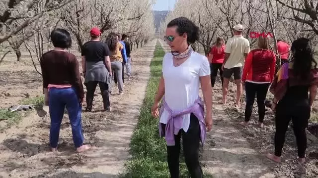 Son dakika gündem: TOROSLARIN SAKURA BAHÇELERİNDE GÖRSEL ŞÖLEN Son dakika gündem: TOROSLARIN SAKURA BAHÇELERİNDE GÖRSEL ŞÖLEN