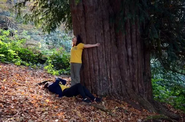 Son dakika haberi: 4 BİN 117 YAŞINDAKİ DÜNYANIN EN YAŞLI PORSUK AĞACI, BAKANLIĞIN 'ANIT AĞAÇLAR' KİTABINDA Son dakika haberi: 4 BİN 117 YAŞINDAKİ DÜNYANIN EN YAŞLI PORSUK AĞACI, BAKANLIĞIN 'ANIT AĞAÇLAR' KİTABINDA