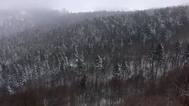 Yeniçağa'da kar yağışı etkili oluyor Yeniçağa'da kar yağışı etkili oluyor