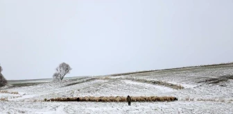 Kayseri'de dağda mahsur kalan çobanlarla koyunları, kurtarıldı