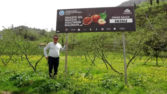 Fındık ihracatının yüzde 85'i AB ülkelerine Fındık ihracatının yüzde 85'i AB ülkelerine