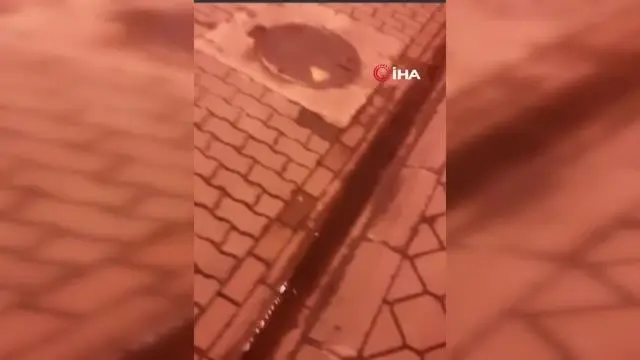 Son dakika: Giresun'da gece yarısı korkutan yangın Son dakika: Giresun'da gece yarısı korkutan yangın