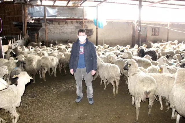 Bahar ortasında kış! Bir anda bastıran tipi nedeniyle 21 hayvan telef oldu Bahar ortasında kış! Bir anda bastıran tipi nedeniyle 21 hayvan telef oldu