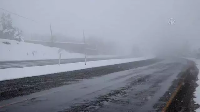 KASTAMONU - Sis ulaşımda aksamalara neden oldu KASTAMONU - Sis ulaşımda aksamalara neden oldu