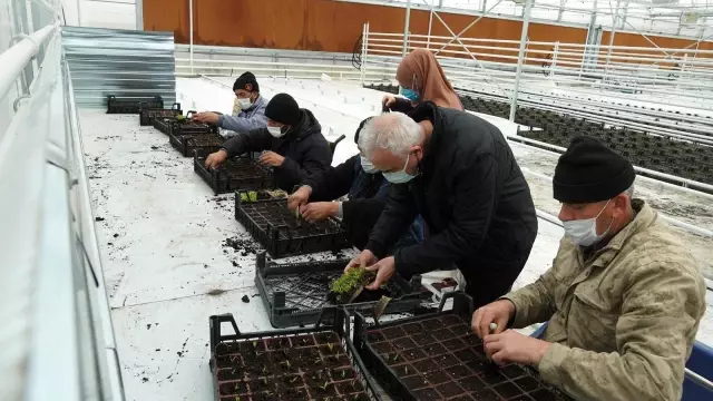 Keçiören Belediyesi seraya ilk tohumları attı Keçiören Belediyesi seraya ilk tohumları attı