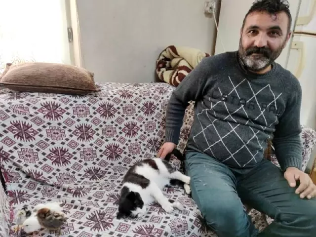Kedi Mercan hem köpek yavrularına hem de civcivlere annelik yapıyor Kedi Mercan hem köpek yavrularına hem de civcivlere annelik yapıyor