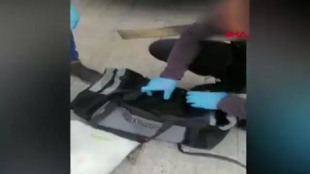 NARKOTİK KÖPEĞİ 'JİBBY', ÇANTADAKİ HAPLARI BULDU NARKOTİK KÖPEĞİ 'JİBBY', ÇANTADAKİ HAPLARI BULDU