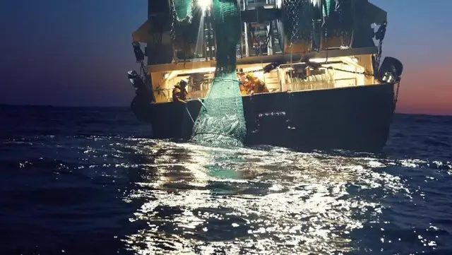 Netflix'teki Seaspiracy belgeselinde dile getirilen iddialar doğru mu? Netflix'teki Seaspiracy belgeselinde dile getirilen iddialar doğru mu?