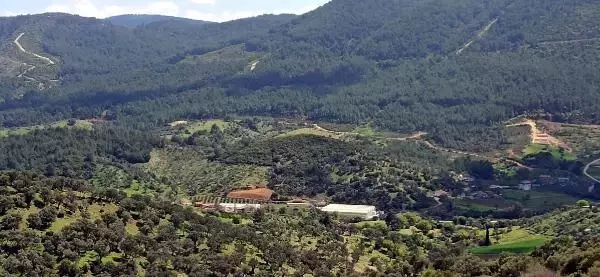 SEFERİHİSAR KÖYLÜLERİ, JES'E KARŞI ÇIKIYOR; ZEYTİNLİKLERİMİZE DOKUNMAYIN SEFERİHİSAR KÖYLÜLERİ, JES'E KARŞI ÇIKIYOR; ZEYTİNLİKLERİMİZE DOKUNMAYIN