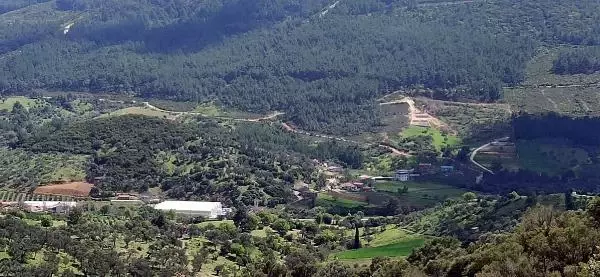 SEFERİHİSAR KÖYLÜLERİ, JES'E KARŞI ÇIKIYOR; ZEYTİNLİKLERİMİZE DOKUNMAYIN SEFERİHİSAR KÖYLÜLERİ, JES'E KARŞI ÇIKIYOR; ZEYTİNLİKLERİMİZE DOKUNMAYIN