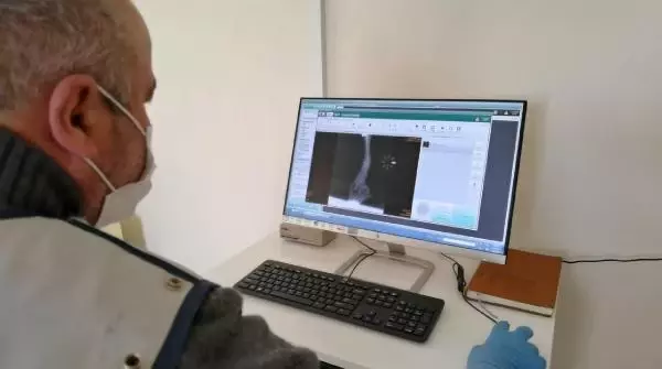 Son dakika haberi! Sokak köpeğine pitbull saldırısı kamerada Son dakika haberi! Sokak köpeğine pitbull saldırısı kamerada