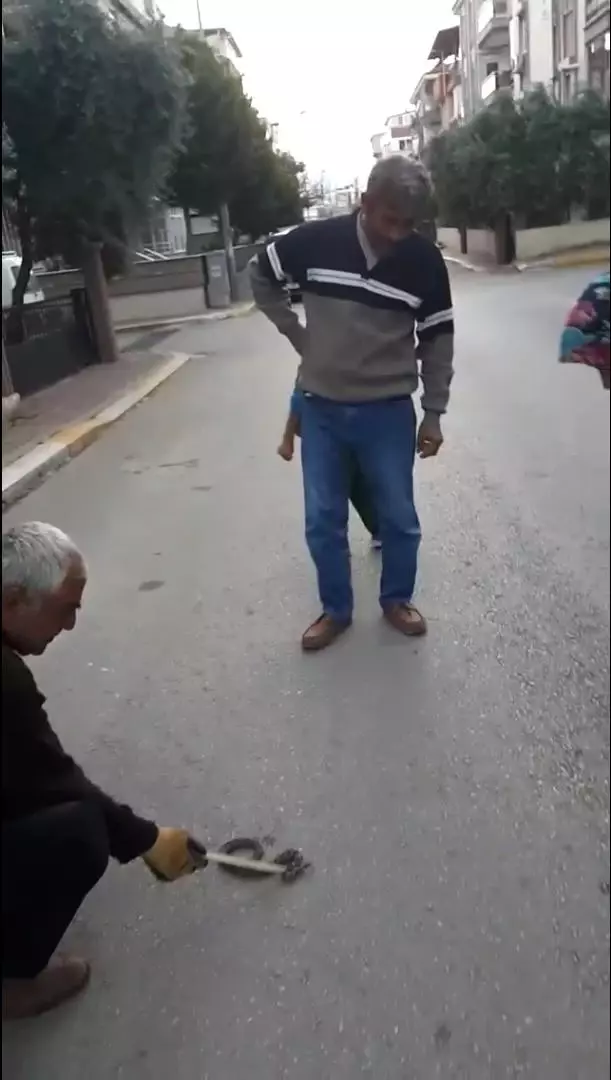 Sokakta gördükleri zehirli engerek yılanını elleriyle yakalayıp bidona soktular Sokakta gördükleri zehirli engerek yılanını elleriyle yakalayıp bidona soktular