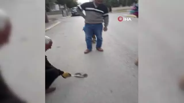 Sokakta gördükleri zehirli Engerek yılanını elleri ile yakalayıp bidona koydular Sokakta gördükleri zehirli Engerek yılanını elleri ile yakalayıp bidona koydular