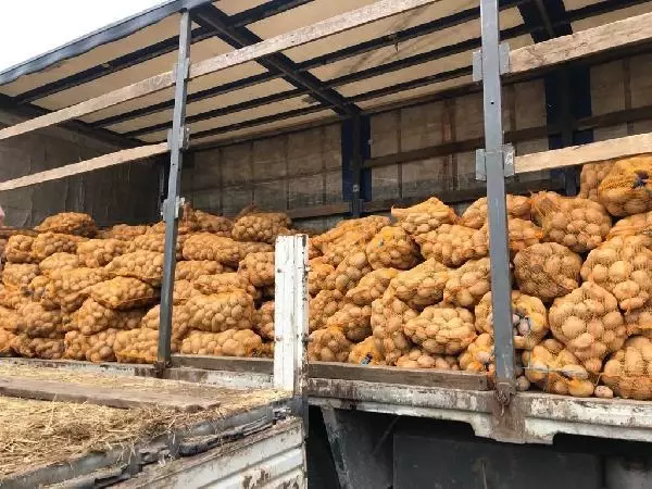 Son dakika haberi: Üreticiden alınan patates ve soğanlar, ihtiyaç sahibi 164 bin aileye ulaştırılacak Son dakika haberi: Üreticiden alınan patates ve soğanlar, ihtiyaç sahibi 164 bin aileye ulaştırılacak