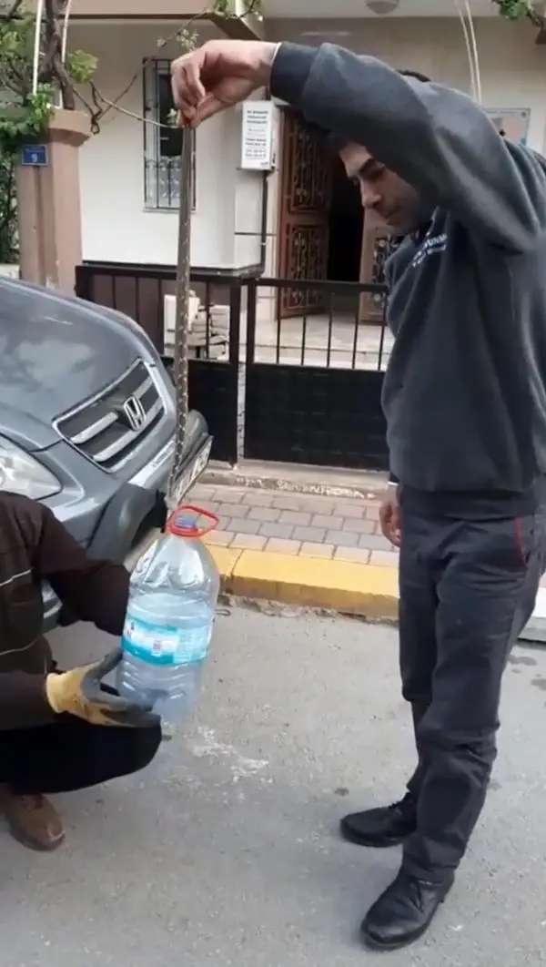 Yol ortasındaki yılanı eliyle yakalayıp, su bidonuna koydu Yol ortasındaki yılanı eliyle yakalayıp, su bidonuna koydu