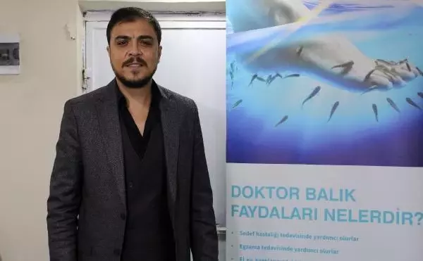 Antalya'da ürettiği 'doktor balıkları' ihraç etmeye başladı Antalya'da ürettiği 'doktor balıkları' ihraç etmeye başladı