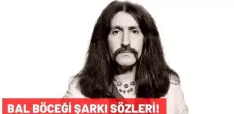 Barış Manço: Bal Böceği şarkı sözleri! Barış Manço-Bal Böceği şarkı sözleri tamamı nedir? Barış Manço: Bal Böceği şarkı sözleri! Barış Manço-Bal Böceği şarkı sözleri tamamı nedir?