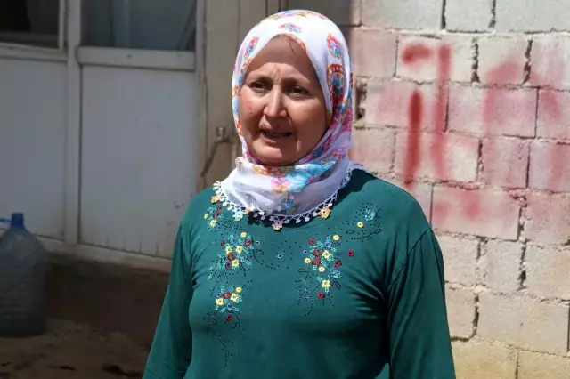 Beslediği kazı kümeste boğazından iple asılmış halde buldu, yapanlara demediğini bırakmadı Beslediği kazı kümeste boğazından iple asılmış halde buldu, yapanlara demediğini bırakmadı