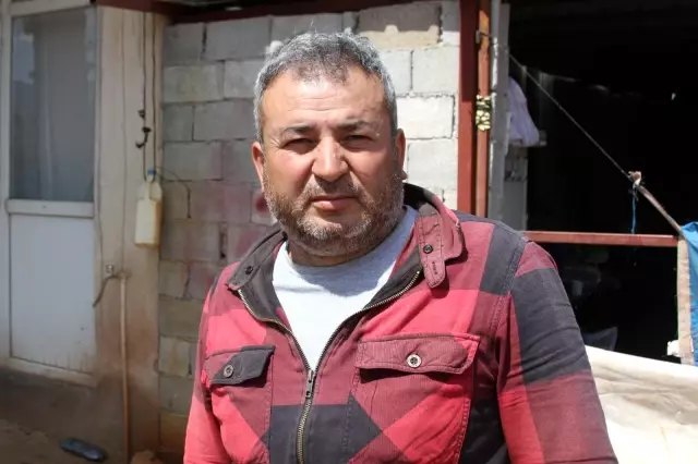 Beslediği kazı kümeste boğazından iple asılmış halde buldu, yapanlara demediğini bırakmadı Beslediği kazı kümeste boğazından iple asılmış halde buldu, yapanlara demediğini bırakmadı