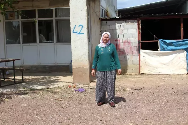 Beslediği kazı kümeste boğazından iple asılmış halde buldu, yapanlara demediğini bırakmadı Beslediği kazı kümeste boğazından iple asılmış halde buldu, yapanlara demediğini bırakmadı