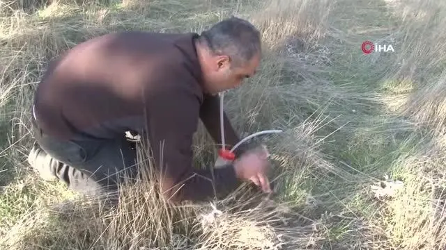 Çin'den sonra ilk kez Elazığ'da görüldü Çin'den sonra ilk kez Elazığ'da görüldü