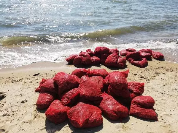 Edirne'de, 876 kilo kaçak midyeye 449 bin lira ceza Edirne'de, 876 kilo kaçak midyeye 449 bin lira ceza