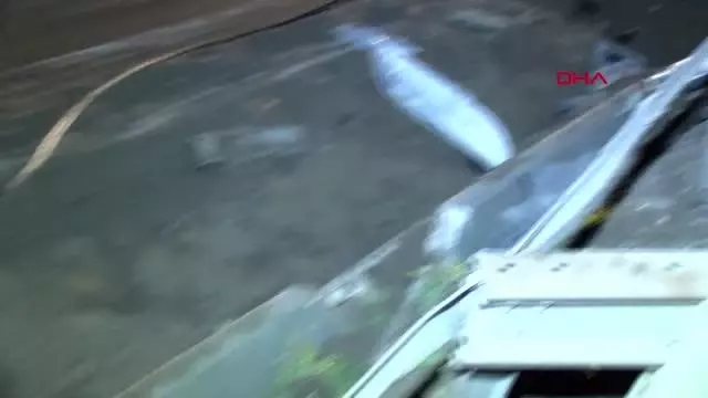 İSTANBUL-BÜYÜKÇEKMECE'DE TANKER BARİYERLERE ÇARPTI: 1 YARALI İSTANBUL-BÜYÜKÇEKMECE'DE TANKER BARİYERLERE ÇARPTI: 1 YARALI