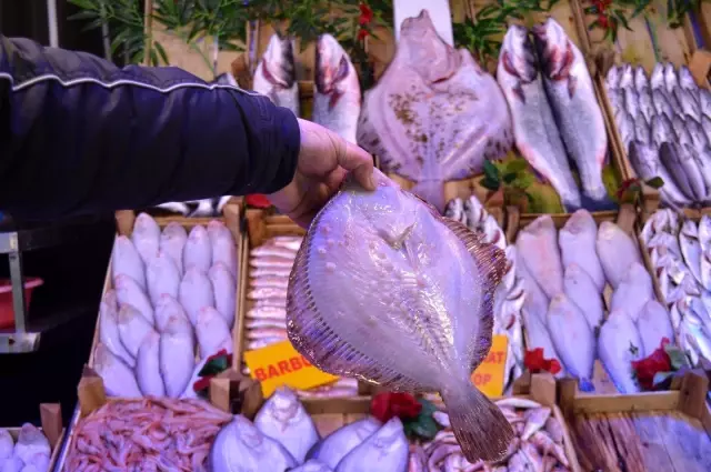 Pazarın ucuzu uskumru, kıralı kalkan Pazarın ucuzu uskumru, kıralı kalkan