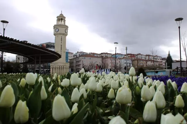 Sincan'da laleler baharı müjdeledi Sincan'da laleler baharı müjdeledi