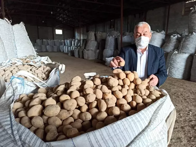 TMO'nun patates alımı Bitlisli çiftçileri sevindirdi TMO'nun patates alımı Bitlisli çiftçileri sevindirdi