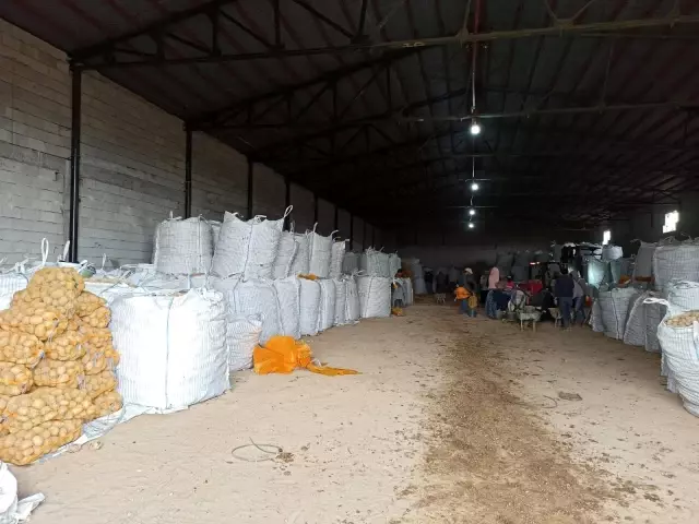 TMO'nun patates alımı Bitlisli çiftçileri sevindirdi TMO'nun patates alımı Bitlisli çiftçileri sevindirdi