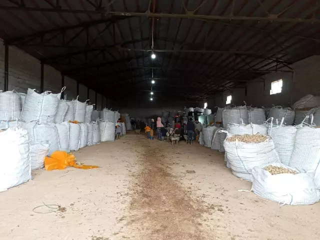 TMO'nun patates alımı Bitlisli çiftçileri sevindirdi TMO'nun patates alımı Bitlisli çiftçileri sevindirdi