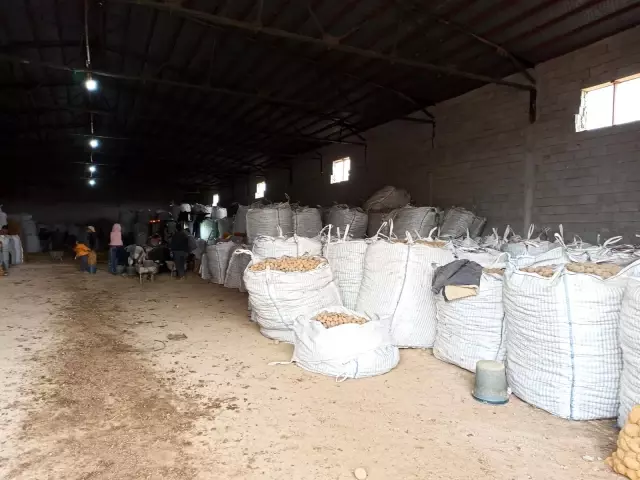 TMO'nun patates alımı Bitlisli çiftçileri sevindirdi TMO'nun patates alımı Bitlisli çiftçileri sevindirdi