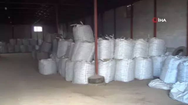 TMO'nun patates alımı Bitlisli çiftçileri sevindirdi TMO'nun patates alımı Bitlisli çiftçileri sevindirdi