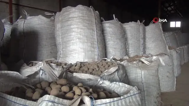 TMO'nun patates alımı Bitlisli çiftçileri sevindirdi TMO'nun patates alımı Bitlisli çiftçileri sevindirdi