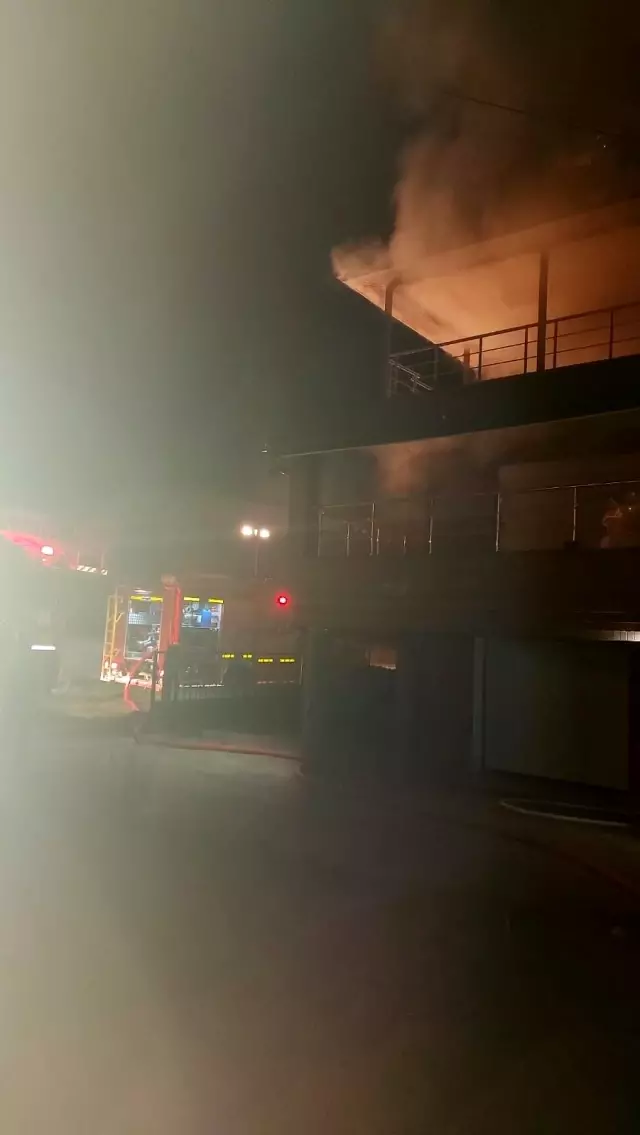 Son dakika haber... Akşam evi yanan adam sabah ormanlık alanda ölü bulundu Son dakika haber... Akşam evi yanan adam sabah ormanlık alanda ölü bulundu