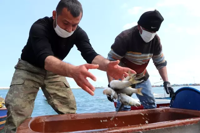 İklim değişikliği balıkçılığı da etkiledi İklim değişikliği balıkçılığı da etkiledi