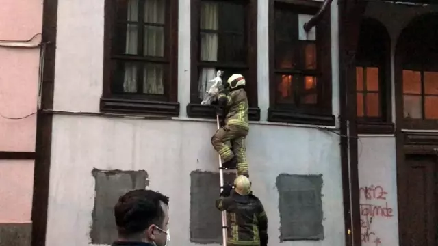 Bursa'da korkutan yangın: 1 kişi dumandan etkilendi, onlarca kedi kurtarıldı Bursa'da korkutan yangın: 1 kişi dumandan etkilendi, onlarca kedi kurtarıldı