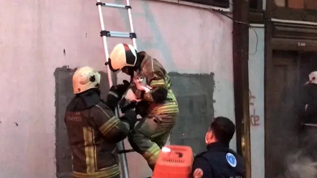 Bursa'da korkutan yangın: 1 kişi dumandan etkilendi, onlarca kedi kurtarıldı Bursa'da korkutan yangın: 1 kişi dumandan etkilendi, onlarca kedi kurtarıldı