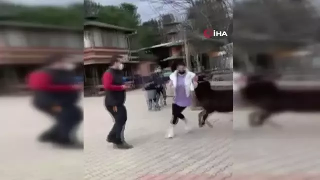 Katıldığı moda yarışmasıyla tanınan Zeynep Öztürk'ün sıpayla imtihanı Katıldığı moda yarışmasıyla tanınan Zeynep Öztürk'ün sıpayla imtihanı